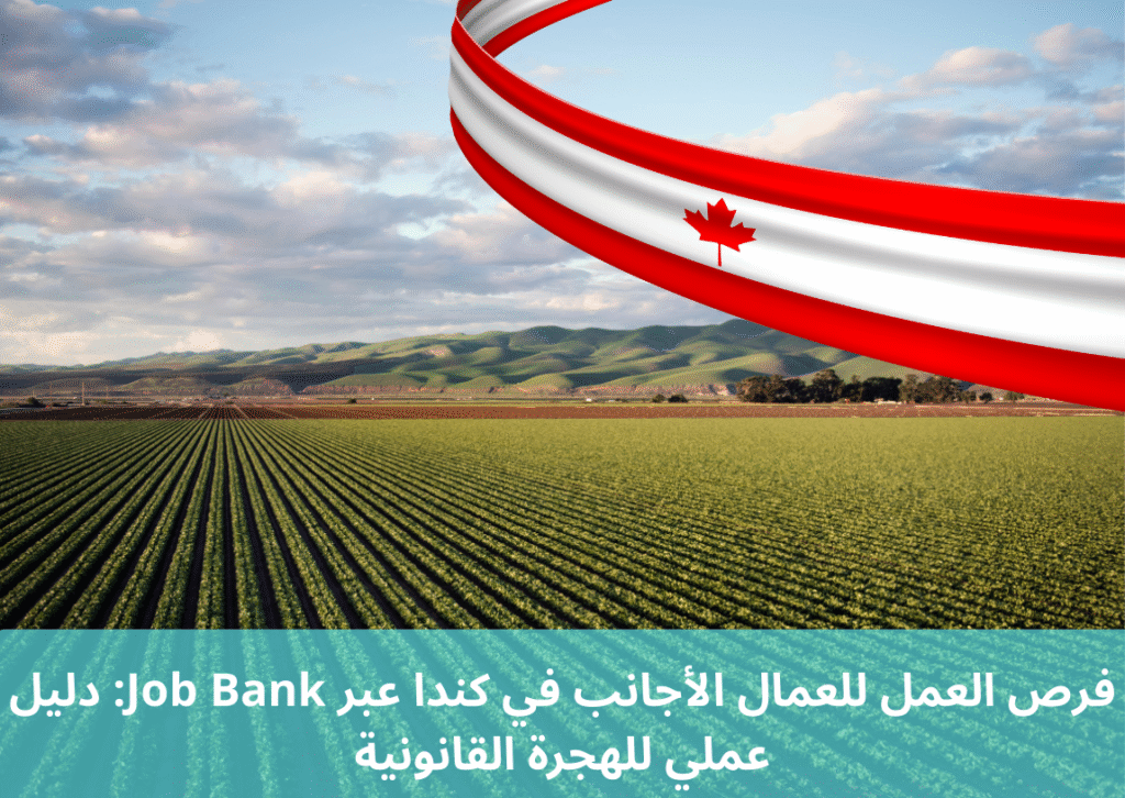 فرص العمل للعمال الأجانب في كندا عبر Job Bank: دليل عملي للهجرة القانونية